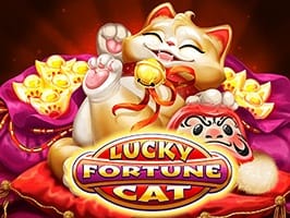 Lucky Fortune Cat