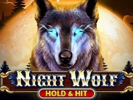 Night Wolf Hold and Hit screenshot